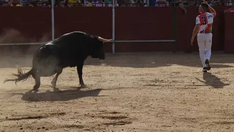 Cortes moraleja Zamora 2026_29
