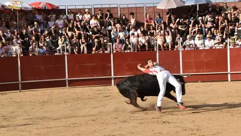 Cortes moraleja Zamora 2026_31
