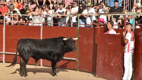 Cortes moraleja Zamora 2026_32