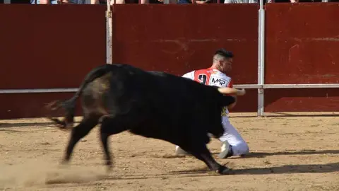 Cortes moraleja Zamora 2026_37