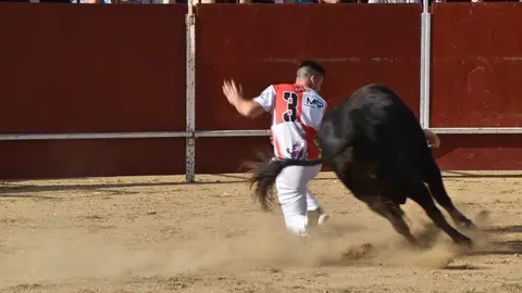 Cortes moraleja Zamora 2026_38