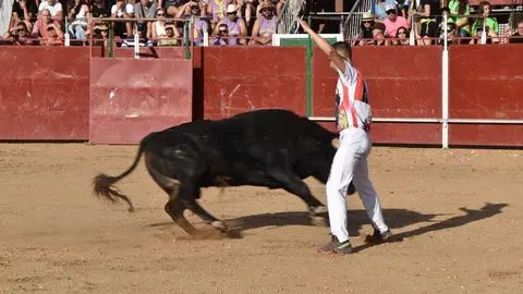 Cortes moraleja Zamora 2026_52