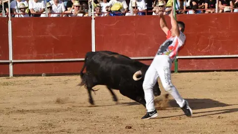 Cortes moraleja Zamora 2026_56