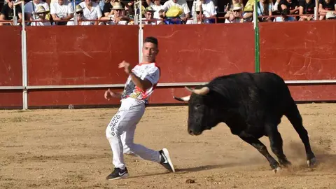 Cortes moraleja Zamora 2026_57