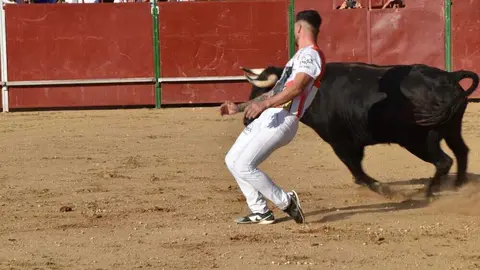 Cortes moraleja Zamora 2026_60