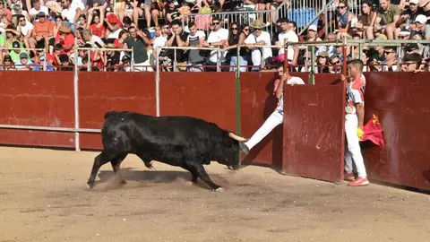 Cortes moraleja Zamora 2026_64