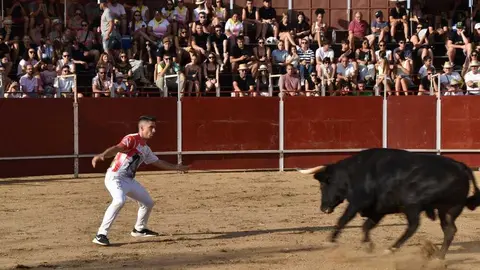 Cortes moraleja Zamora 2026_67