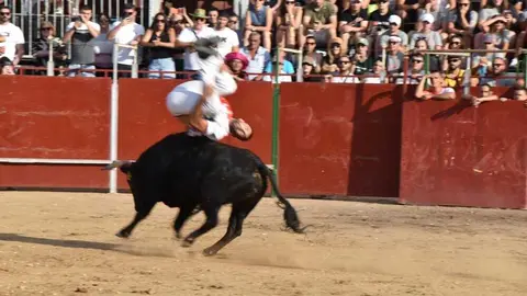 Cortes moraleja Zamora 2026_91
