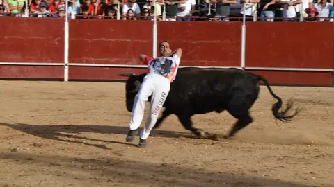 Cortes moraleja Zamora 2026_92