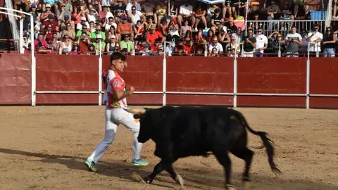 Cortes moraleja Zamora 2026_94