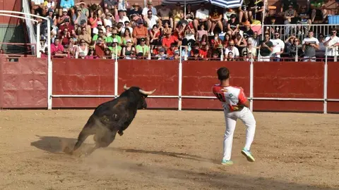 Cortes moraleja Zamora 2026_95
