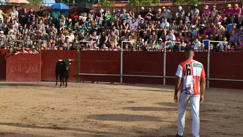 Cortes moraleja Zamora 2026_103