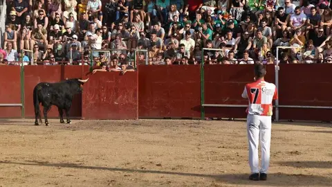 Cortes moraleja Zamora 2026_107
