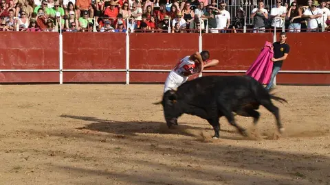 Cortes moraleja Zamora 2026_108