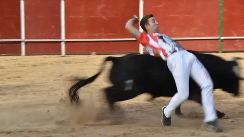 Cortes moraleja Zamora 2026_134