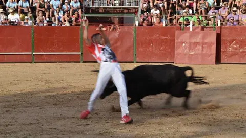 Cortes moraleja Zamora 2026_135