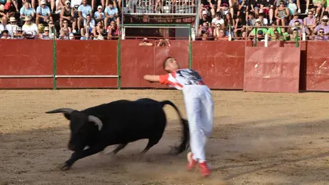 Cortes moraleja Zamora 2026_136