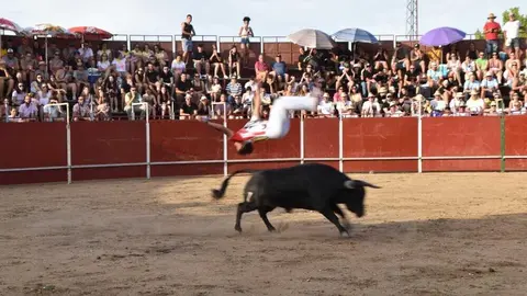 Cortes moraleja Zamora 2026_138
