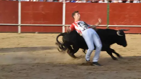 Cortes moraleja Zamora 2026_140