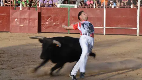 Cortes moraleja Zamora 2026_150