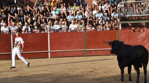 Cortes moraleja Zamora 2026_152