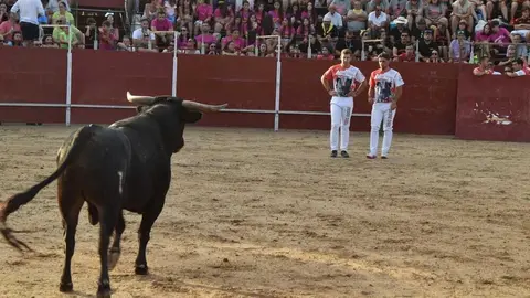 Cortes moraleja Zamora 2026_155
