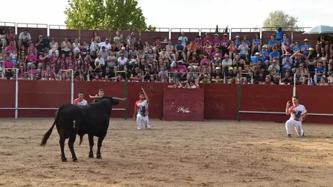 Cortes moraleja Zamora 2026_156