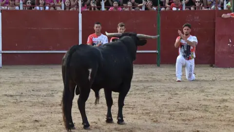 Cortes moraleja Zamora 2026_157
