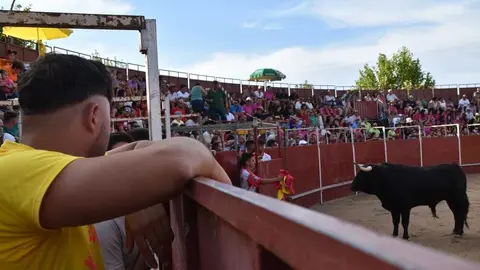 Cortes moraleja Zamora 2026_47