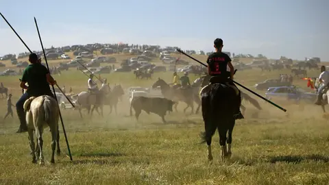 encierro campero moraleja