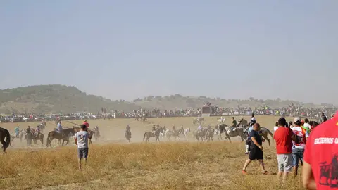encierro moraleja 2026 (2)