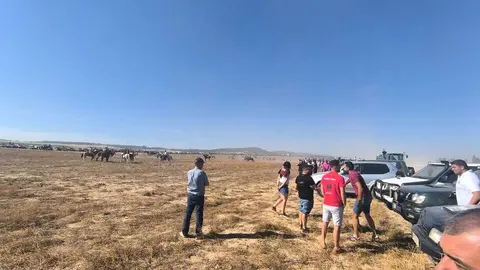 encierro moraleja 2026 (6)
