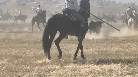 encierro moraleja 2026 (13)