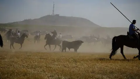 encierro moraleja 2026 (57)