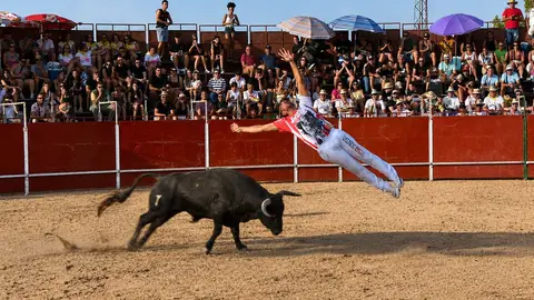 Cortes Moraleja