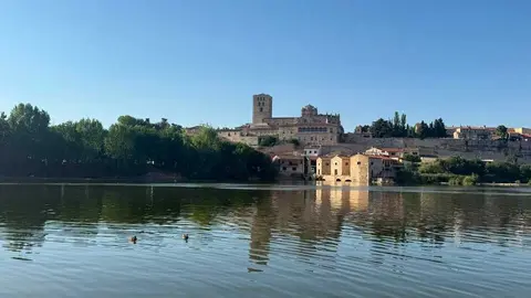 Los pelambres D&iacute;a soleado _3