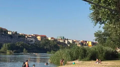 Los pelambres D&iacute;a soleado _7