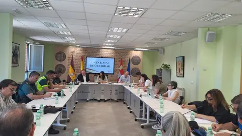 Reuni&oacute;n Junta Local de Seguridad en Benavente