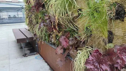 Uno de los jardines verticales instalados en la capital zamorana