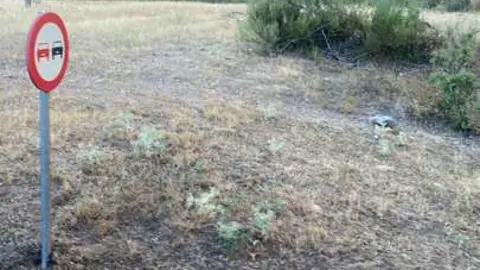 incendio en R&aacute;bano de Aliste (5)