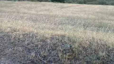 incendio en R&aacute;bano de Aliste (6)