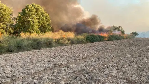 incendio en R&aacute;bano de Aliste (11)