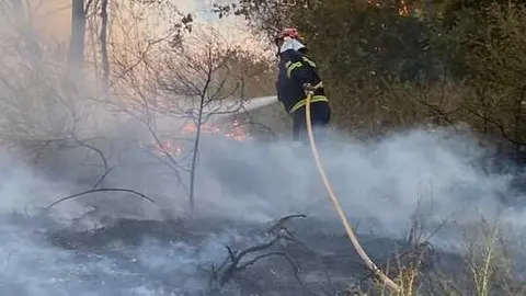 incendio en R&aacute;bano de Aliste (12)