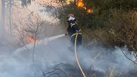 incendio en R&aacute;bano de Aliste (13)