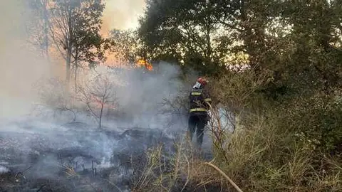 incendio en R&aacute;bano de Aliste (14)