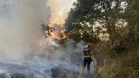 incendio en R&aacute;bano de Aliste (15)