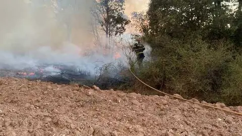incendio en R&aacute;bano de Aliste (16)