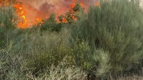 incendio en R&aacute;bano de Aliste (19)