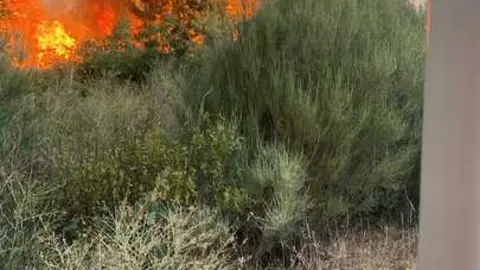 incendio en R&aacute;bano de Aliste (20)