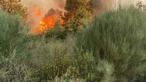 incendio en R&aacute;bano de Aliste (21)